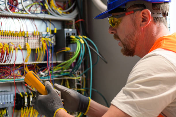 Best Electrical Repair Services  in Sheldon, IL